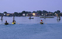 Voga Vaesana or Rowing Vaesana way, Ventian lagoon, Italy.