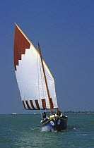A traditional lateen rig sail boat or chiggiotta, Lagoon of Venice, Italy.