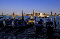 Row of gondolas tied to mooring posts with St. Mark's Basilica and the Campanile di San Marco  in the background, Venice, Italy.