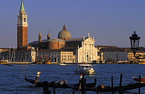 Gondolas on the Grand Canal with St. Mark's Basilica and the Campanile di San Marco in the background, Venice, Italy.