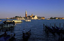 Row of gondolas tied to mooring posts with St. Mark's Basilica and the Campanile di San Marco in the background, Venice, Italy.
