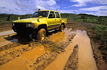 Four-wheel-drive pick up truck stuck in the mud on dirt road, central Babelthaup, Palau. Micronesia.
