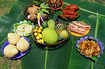 Traditional local Palau food: cooked crabs, fish, different types of bananas, pineaple, papaya, tapioca, soursop, taro, sweet potatoes, coconuts and more.