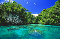 Saltwater lake with coral heads in the shallow water, Palau, Micronesia.