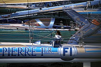 Trimaran "Pierre 1er" during the Europe 1 Star in 1992. ^^^ It capsized during the 1992 race.