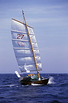 Michael Richey in his 25ft Folkboat "Jester" is the oldest competitor at 79 years during the Europe 1 Star in 1996.^^^ He finished last on the water, 10th in Class VI, and 42th position overall, cross...