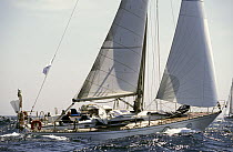 "Dutch monohull" skippered by Bertus Buys during the Europe 1 Star in 1996. ^^^ Finished 7th in Class IV in 30d 4h and 42 m.