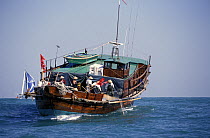 Fishing boat in Hong Kong.