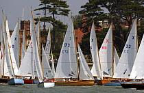 One-design X-Boat class tacks along Cowes Green during Skandia Cowes Week, 8th August, 2003.