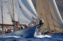 135ft Herreshoff schooner, "Eleonora", during Antigua Classic Yacht Regatta, 2003. ^^^She was inspired by the 1909 "Westward".