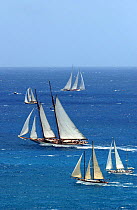135ft Herreshoff schooner, "Eleonora", sails through the fleet at Antigua Classic Yacht Regatta, 2003. ^^^Eleanora is a replica of the 1909 "Westward".