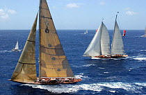 Windrose and Velsheda upwind at Antigua Classic Yacht Regatta, 2003.