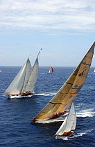 "Windrose" and "Velsheda" sail upwind over a smaller yacht at Antigua Classic Yacht Regatta, 2003.
