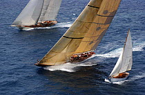 "Windrose" and "Velsheda" sail upwind over a smaller yacht at Antigua Classic Yacht Regatta, 2003.