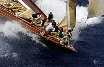 Foredeck crew attend to the sails as the J-Class yacht "Velsheda" races along at Antigua Classic Yacht Regatta, 2003.