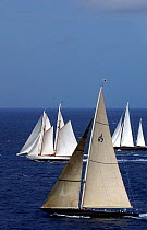 "Velsheda", "Windrose" and "Victoria" sail in the fresh breeze at Antigua Classic Yacht Regatta, 2003.