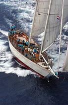 The recently launched 152ft schooner, "Windrose", during a race at Antigua Classics 2003.