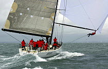 Man swinging from spinnkaer pole on "Wild Oats". Admirals Cup, Sydney, Australia, 2003. The Australian team from the Royal Prince Alfred Yacht Club won the cup with Bob Oatley's Wild Oats.