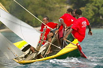 Grenada Sailing Festival crew hiking-hard on a local workboat, Caribbean 2003.