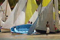 The racing fleet of the Grenada Sailing festival on the beach at Grande Anse, Grenada, Caribbean 2003.