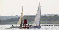 Catboats racing past the mark and breakwater, Wickford, Rhode Island, USA.