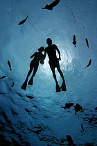 Silhouette of couple snorkeling, Molokini Island, Maui, Hawaii.