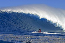 Jetski and enormous wave at Peahi (Jaws), off Maui, Hawaii.