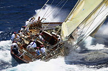 J-Class "Velsheda" thrashing upwind at Antigua Classic Yacht Regatta, Caribbean, 2004. Property Released.