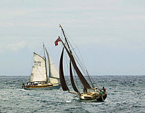 Small boat class beats upwind at Antigua Classic Yacht Regatta, Caribbean 2004.