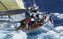 The new replica of "Ranger" chasing "Velsheda" at Antigua Classic Yacht Regatta, Caribbean, 2004.