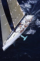 Crew hike out aboard Roy Disney's ZX86 "Pyewacket" at Antigua Race Week, 2004.