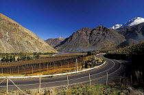 Vineyards in the fertile Elqui valley in the middle of the Andes, Chile. ^^^Elqui Valley stretches from the Indian Ocean to the Argentinean border in the north of Chile.