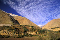 The Elqui valley in the middle of the Andes has arid mountain sides but the valley itself is very fertile, Chile. ^^^Elqui Valley stretches from the Indian ocean to the Argentinean border in the north...
