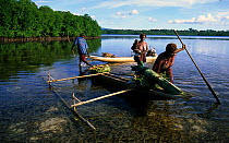 Fishing family pushing pirogues, traditional boats, New Ireland, Papua New Guinea, Oceania