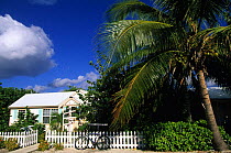 Palm tree, house and bicycle, Little Cayman Beach Resort, Cayman Islands