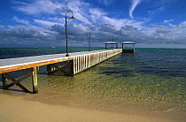 Pier on a beach on the south of Little Cayman, Cayman Islands.