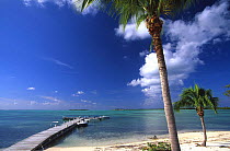 Jetty at South Hold Sound, Little Cayman, Cayman Islands.