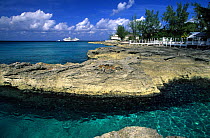Limestone wave cut platforms at Smith Cove near George Town, Grand Cayman, Cayman Islands.