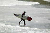 Surfer walking on beach with surfboard Black Head, Dunedin, New Zealand.