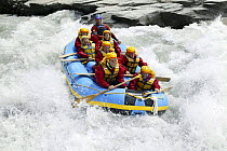 White water rafting, Shotover River, Queenstown, New Zealand.