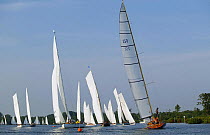 Fleet of yachts racing, Wroxham Open Regatta Week, Wroxham Broads, Norfolk, England, UK.