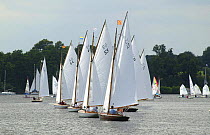Fleet of classic keelboats racing, Wroxham Open Regatta Week, Wroxham Broads, Norfolk, England, UK.