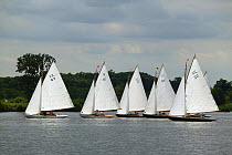 Fleet of classic keelboats racing, Wroxham Open Regatta Week, Wroxham Broads, Norfolk, England, UK.