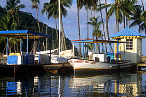 Boats moored in Marigot Bay, St Lucia, Caribbean.
