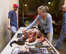 Woman looking at a fresh catch in the local St Tropez fish market, South of France.