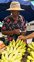 Local woman buying bananas in a market, Seychelles, Indian Ocean.