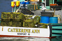 Newport lobster boat "Catherine Ann" and traps working off Newport, Rhode Island, USA.