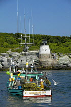 Lobster boat "Catherine Ann" pulling traps under the Castle Hill Lighthouse off Newport, Rhode Island, USA.