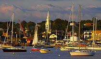 Yachts moored along Newport waterfront, Newport, Rhode Island, USA.
