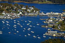 Boats moored in the harbour, Maine, USA.